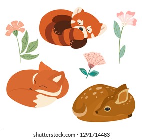 Cute vector illustration with little fox, red panda and deer isolated on white background. Can be used as elements for banner, poster, greeting card, postcard and print.