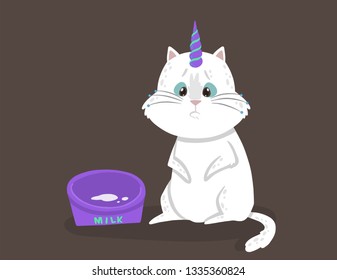 Cute vector illustration with a magic white cat with a unicorn horn asks for milk. Kitten shows an emotion. Big-eyed beggar. Can be used for the sticker, patch, phone case, poster, t-shirt, mug.