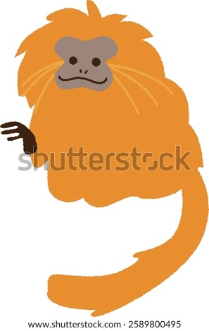 Cute vector illustration material of golden lion tamarin