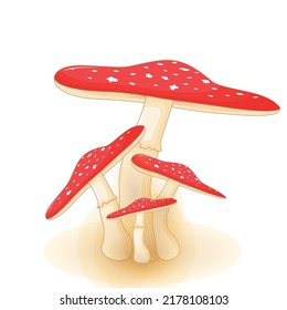cute vector illustration of mushroom on a white background.