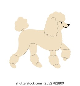 Vetor bonito Ilustração de cão Poodle. Coleção de clipart de animais de estimação. canino, filhote desenhado à mão. Ilustrado em várias poses. 