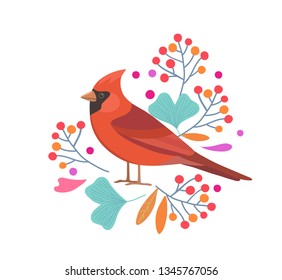 Cute vector illustration with red cardinal bird and berries.