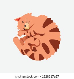Cuta ilustración vectorial del gato naranja curvado durmiendo.