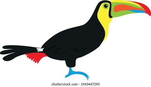 Cute vector illustration of a toucan seen from the side.