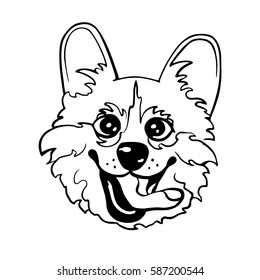 Cute vector illustration of welsh corgi pembroke dog. Portrait of a puppy for decoration and design
