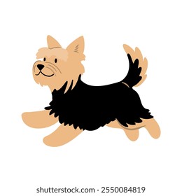 Linda Ilustración vectorial de Yorkshire Terrier perro. Colección de Clipart de mascotas. canino, cachorro dibujado a mano. Ilustrado en varias poses. 