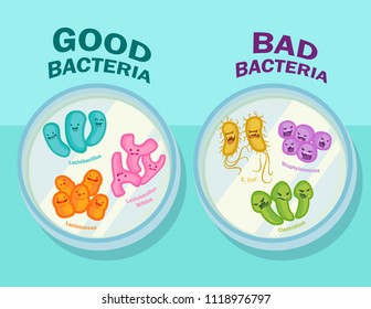 Cute Vektorgrafiken von guten und schlechten Bakterien mit Etiketten auf Petrischalen