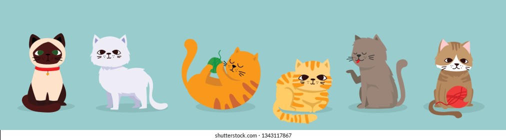 Cute vector illustrations set of cat breeds, pet animal set in a cartoon flat style