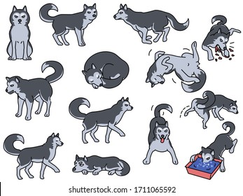 Cute vector illustrion character of Siberian Husky dig set in various poses and activities. Outline, linear, thin line art, hand drawn sketch design, simple style.