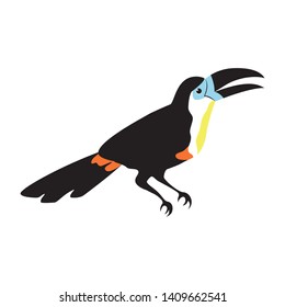 Cute vector image of toucan on white background. Black bird with big beak