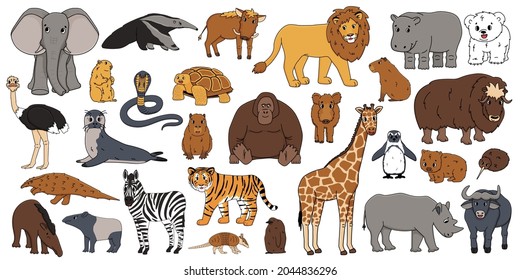 1,183 Lion elephant monkey bear zebra hippo giraffe Images, Stock ...