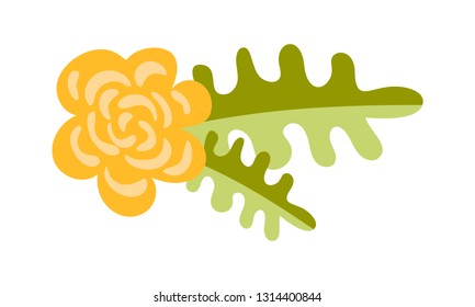 Cute vector isolated Flower on white background. Spring hand drawn Nature illustration flat design. For greeting card, print, children book