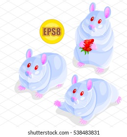 Cute vector isometric hamster set, cartoon animal character, pet game objects