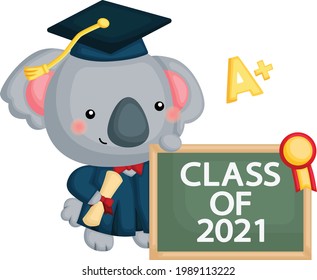 a cute vector of a koala mascot graduating