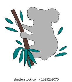 Cute vector koala is sleeping on a eucalyptus tree. Outline illustration.