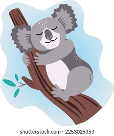 Cute vector koala sleeping on a branch of the tree. Vector isolated