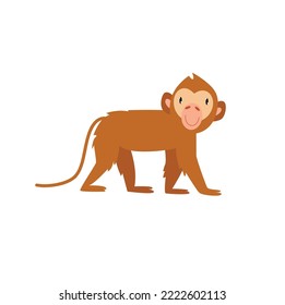 Cute vector monkey. African animal. Brazilian animal. The monkey jumps happily. Funny cartoon character.