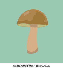 Cute vector mushroom drawing. Perfect for your wallpaper, fabric, website. Bay bolete (imleria badia) is a popular food ingredient in Poland.