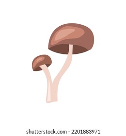 Cute vector mushrooms. Vector illustration of white mushroom. White isolated background. Flat style.