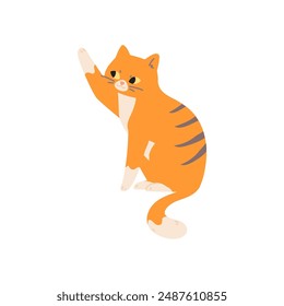 cute vector cute orange cat cute