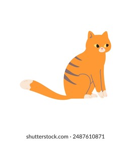 lindo Vector lindo gato naranja lindo