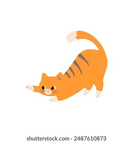 lindo Vector lindo gato naranja lindo