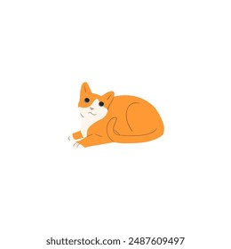 cute vector orange cat relaxing fat animal