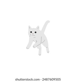 cute vector orange cat relaxing fat animal