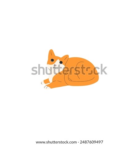 cute vector orange cat relaxing fat animal