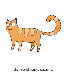 Cute vector orange red cat illustration. Isolated on white.