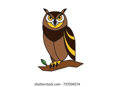 Cute vector owl characters showing different species. Vector illustration