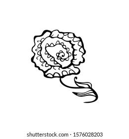 Cute vector peony flower doodle hand-drawn isolated on a white background. done in black art ink