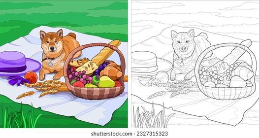 Cute vector picnic on the grass with a doggie illustration. Coloring pages. Monochrome and color options.
