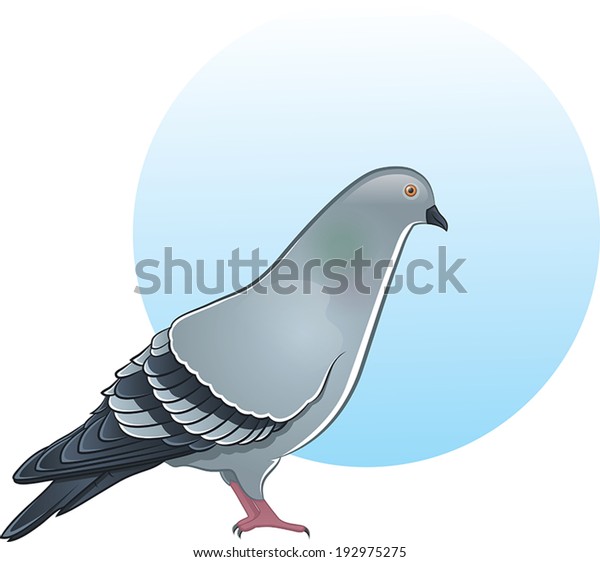 Cute Vector Pigeon Illustration Stock Vector (Royalty Free) 192975275