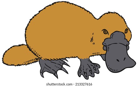 Cute vector platypus - Ornithorhynchus anatinus or Duckbill. You can design cards, part of platypus logo, mascot, corporate character and so on. Lively animal character.