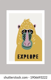 Cute vector primates in flat style.  Mandrill - primates cartoon character. Vector print in modern style