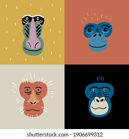 Cute vector primates in flat style. Chimpanzee, Gorilla,
 Mandrill, Pygathrix roxellana, Macaca fuscata - primates cartoon character. Vector print in modern style