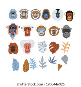 Cute vector primates in flat style. Chimpanzee, Orangutan, Gorilla,
Lion-tailed macaque, Mandrill, Pygathrix roxellana, Macaca fuscata - primates cartoon character. Vector print in modern style