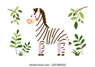 Cute vector print with striped baby zebra stands on the green grass and smiles happily. Kids illustration drawn in flat style