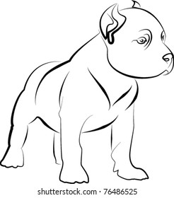 cute vector puppy pittbull terrier