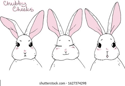 Cute vector rabbits. Set of illustrations