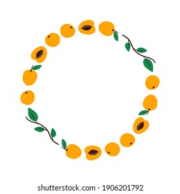 Cute vector round frame, card template with fresh apricots and leaves.
