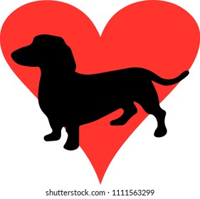 Cute vector sausage dog with big red heart. Silhouette of dachshund dog.