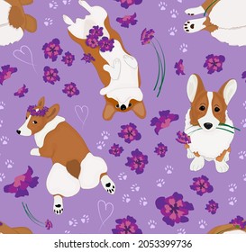 Cute vector seamless pattern with corgi with purple flowers on the purple background