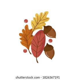 Conjunto de vectores de hojas, bayas y nueces de otoño aisladas en fondo blanco. Temporada de otoño. Elementos para decorar las vacaciones de otoño. Bellotas vectoriales, arándanos, hojas de roble.