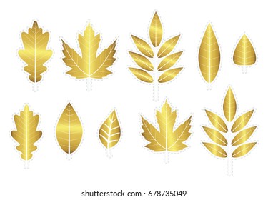 Cute vector set with golden leaves. Fall. Autumn