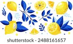 Cute vector set of lemon pattern in yellow and blue colors. Tropical fruit slice, fresh green leaves, yellow lemons on a blue background.