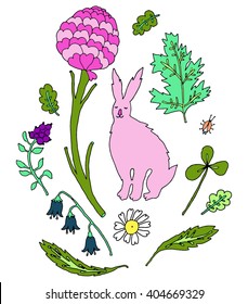 Cute vector set of summer leaves, flowers and rabbit. 