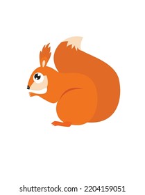 Cute vector squirrel. Forest animal. Little cute squirrel is sitting. Funny cartoon character.
