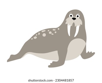 Cute vector walrus illustration isolated on white background. Cartoon seal. Funny animal